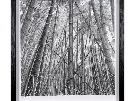 Bamboo Forest Online Hot Sale