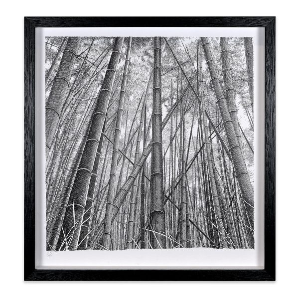 Bamboo Forest Online Hot Sale