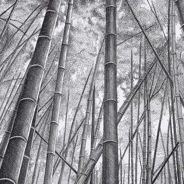 Bamboo Forest Online Hot Sale