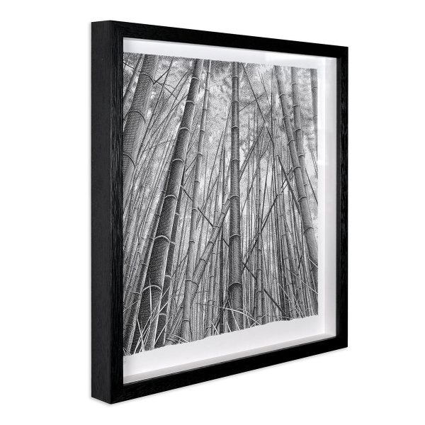 Bamboo Forest Online Hot Sale