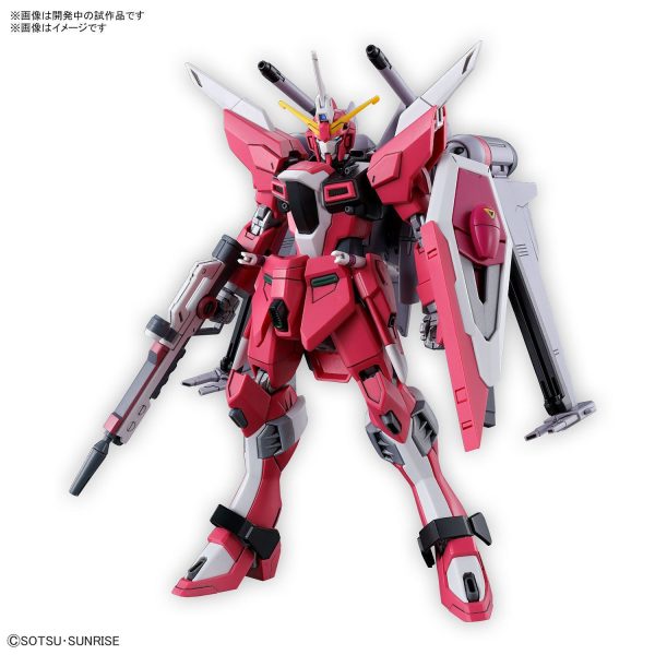 INFINITE JUSTICE GUNDAM TYPE II  GUNDAM SEED FREEDOM  BANDAI, HG For Cheap