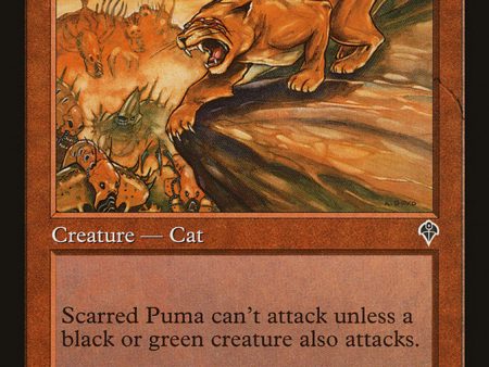 Scarred Puma [Invasion] Supply