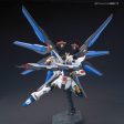 ZGMF-X20A STRIKE FREEDOM GUNDAM  GUNDAM SEED DESTINY , BANDAI, HG Online